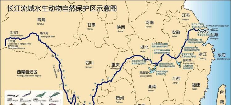 长江流经的主要亚洲地理分区