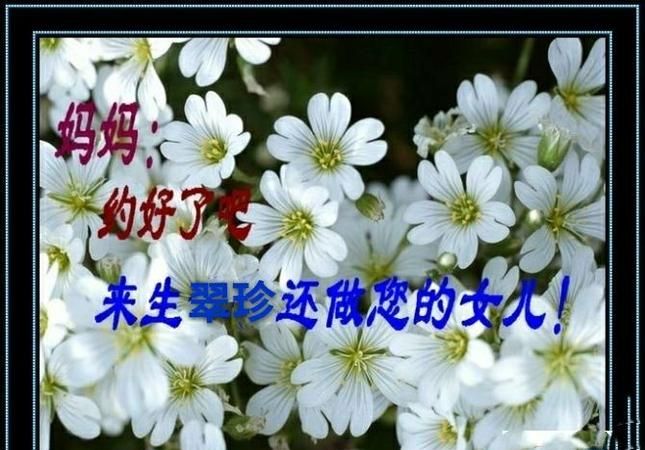 想念天堂妈妈的句子