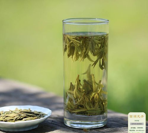 茉莉龙井是什么茶