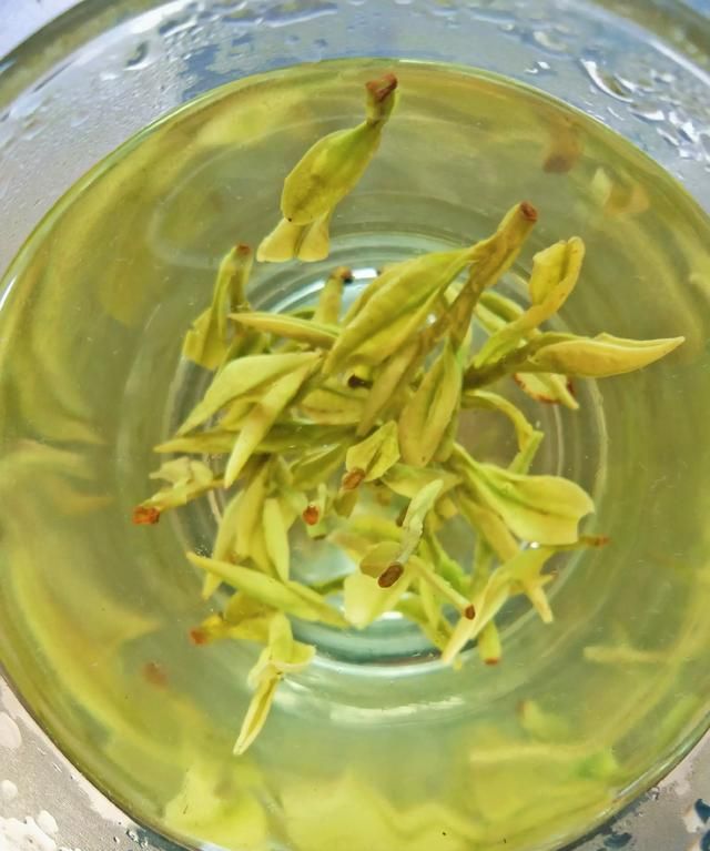 龙井是什么茶，龙井茶是什么茶，如何泡，能做菜吗？图4