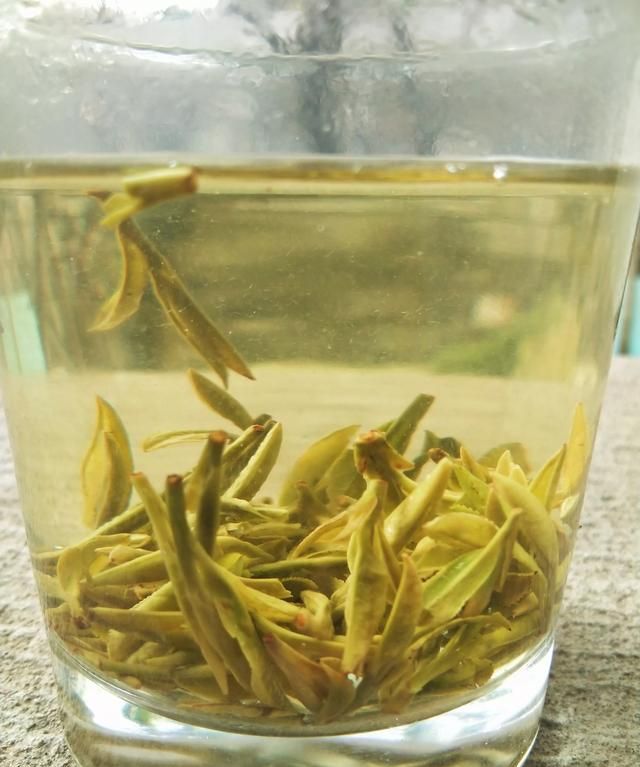 龙井是什么茶，龙井茶是什么茶，如何泡，能做菜吗？图5
