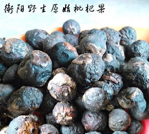 请问枇杷果有什么药用效果