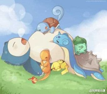 ​波克比最终进化是什么 神奇宝贝中的小精灵