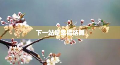 ​下一站是幸福结局(下一站是幸福结局蔡敏敏和谁在一起了)