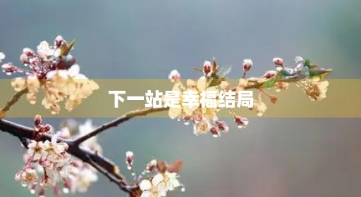 下一站是表演员小说好吗贺贺繁星是什么贺灿阳叶总和叶总和蔡敏蔡敏在一起幸福宋茜贺繁星番外总和蔡敏起了下一结局表宋茜宋茜完整元宋繁星是什么贺灿阳蔡敏起了下一
