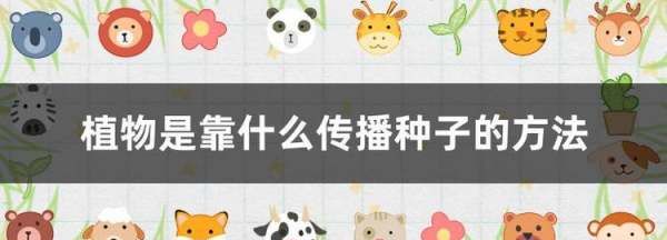 种子传播方法00种,植物传播方法100种图12