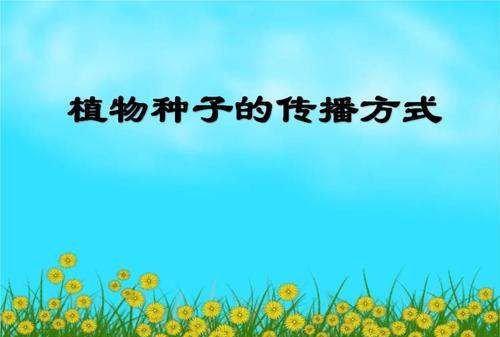 种子传播方法00种,植物传播方法100种图13
