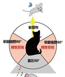 鳄鱼为什么不吃河马，鳄鱼为什么不吃河马？图11