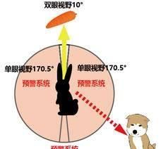 鳄鱼为什么不吃河马，鳄鱼为什么不吃河马？图13