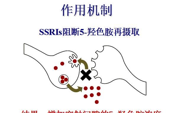 多巴胺是什么，多巴胺分泌是什么，对减肥与增肌有什么影响？图5