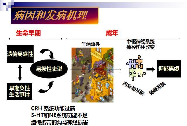 多巴胺是什么，多巴胺分泌是什么，对减肥与增肌有什么影响？图4