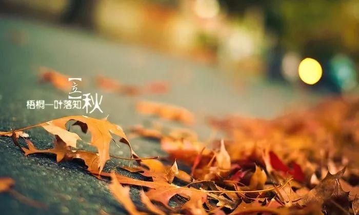 描写秋天景色优美的句子有什么简短不超过15个字