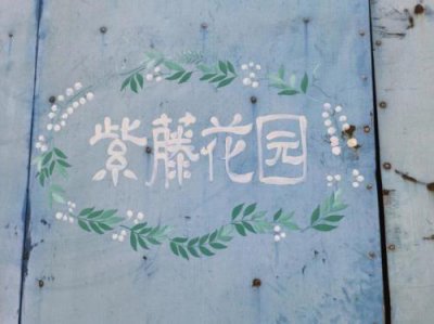 ​紫藤花园李可心结局