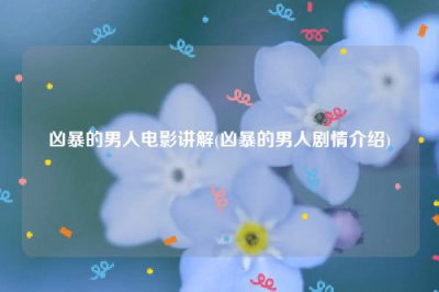 ​凶暴的男人电影讲解(凶暴的男人剧情介绍)