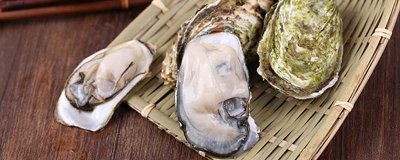 ​生蚝不能吃什么部位的肉 吃生蚝不能吃什么部位