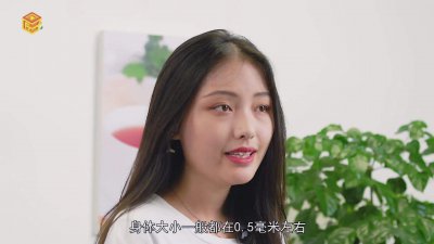 ​螨属于什么纲 螨虫是指什么