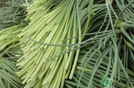 蒜薹怎么摘？蒜薹怎么择？
