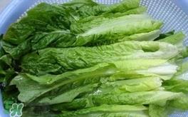 莴苣叶是什么？生菜是不是莴苣叶子