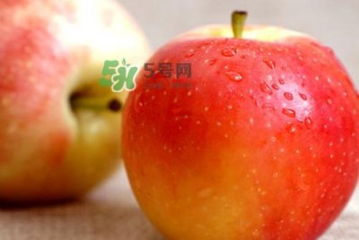​嘎啦苹果多少钱？嘎啦果多少钱一斤