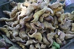 菱角怎么煮好吃?煮菱角要放盐吗