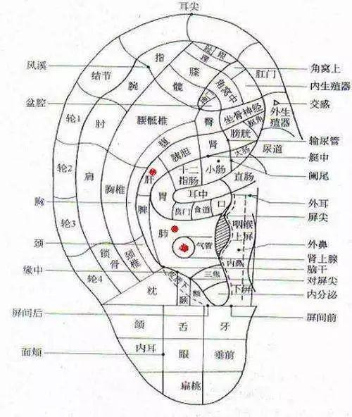教你一套揪耳操，平时做做就能助你强身健体！