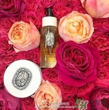 diptyque玫瑰面油怎么样？diptyque面油价格