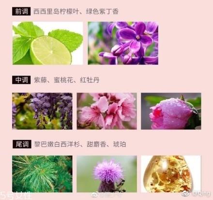 泸州老窖香水多少钱？你身上有他的白酒味