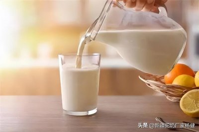 ​骆驼奶该怎么喝？有些“坑”别踩了~