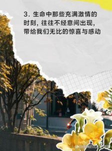 ​《黑帮大佬与我的365日》：超越《五十度灰》，独特激情点燃你的阅读热情