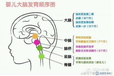 ​开发大脑是在残害孩子？！