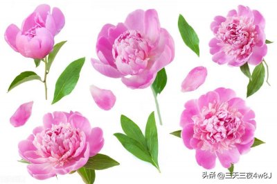​三星，大吉大利！好运福运连连