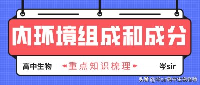 ​内环境的组成和成分