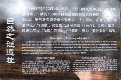 ​1999年湖北磨山诡异事件，一道“白光”瞬间砍倒700棵树