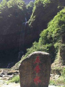 ​湖北省 宜昌市 秭归县 三峡竹海