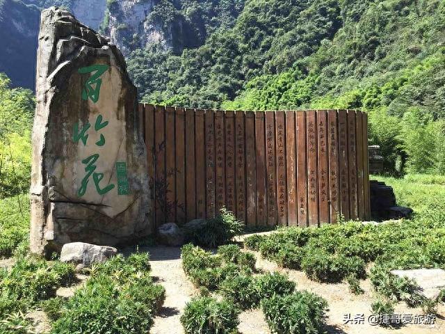 湖北省 宜昌市 秭归县 三峡竹海