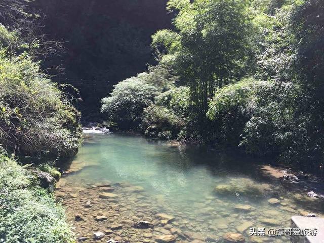 湖北省 宜昌市 秭归县 三峡竹海