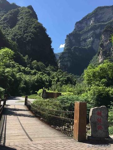 湖北省 宜昌市 秭归县 三峡竹海