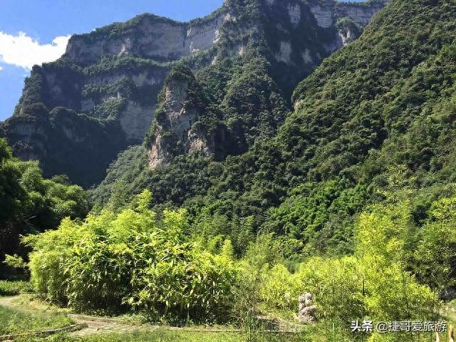 湖北省 宜昌市 秭归县 三峡竹海