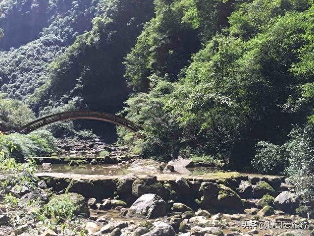 湖北省 宜昌市 秭归县 三峡竹海