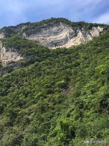 湖北省 宜昌市 秭归县 三峡竹海