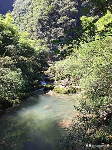 湖北省 宜昌市 秭归县 三峡竹海
