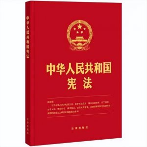 ​宪法的重要性。为什么要依宪治国？（为什么维护宪法权威？）