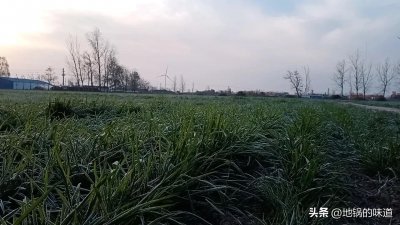 ​今天二月初一，老人说“二月初一晴，树叶发几层”，为啥发几层？