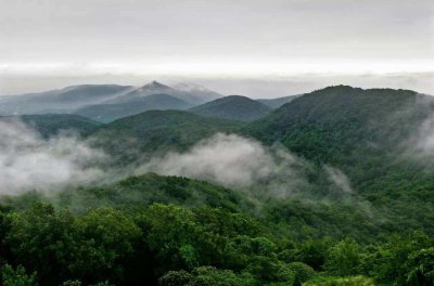 ​彝族雄鹰陨落老山，为护战俘虽死犹生