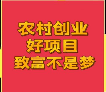 ​农村致富秘籍揭秘！学会这些技巧让你轻松发家致富！