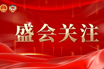 ​全国人大代表徐云飞：聚焦“智能化 数字化 绿色化” 引领建材行业转型升级