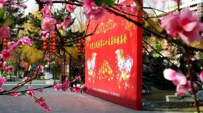 ​大观园红楼庙会深度挖掘红楼元素，让观众过一个“红楼年”