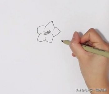 ​每天学一幅简笔画--桃花简笔画彩色画法步骤图解教程