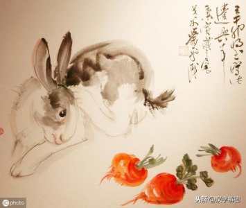 ​关于兔的成语（30个兔字成语大全）