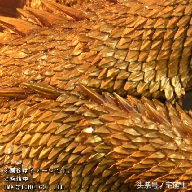东宝邪恶宇宙怪兽第一头！《哥斯拉》之王者基多拉新款模型图赏